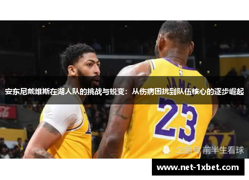安东尼戴维斯在湖人队的挑战与蜕变：从伤病困扰到队伍核心的逐步崛起