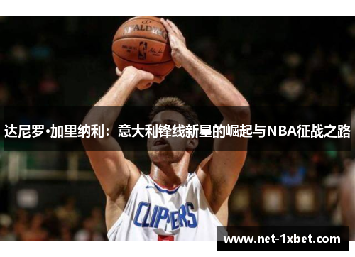 达尼罗·加里纳利：意大利锋线新星的崛起与NBA征战之路