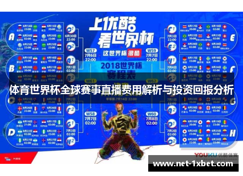 体育世界杯全球赛事直播费用解析与投资回报分析