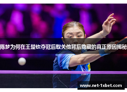 陈梦为何在王楚钦夺冠后取关他背后隐藏的真正原因揭秘