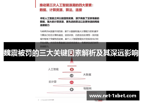 魏震被罚的三大关键因素解析及其深远影响