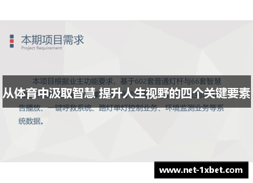 从体育中汲取智慧 提升人生视野的四个关键要素