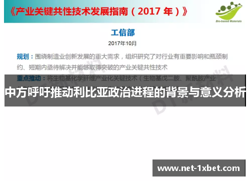中方呼吁推动利比亚政治进程的背景与意义分析