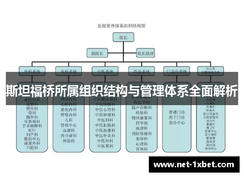 斯坦福桥所属组织结构与管理体系全面解析