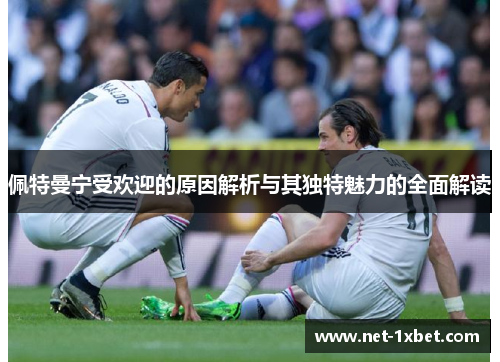 佩特曼宁受欢迎的原因解析与其独特魅力的全面解读