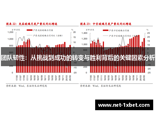 团队韧性：从挑战到成功的转变与胜利背后的关键因素分析