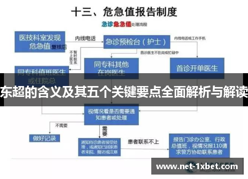 东超的含义及其五个关键要点全面解析与解读