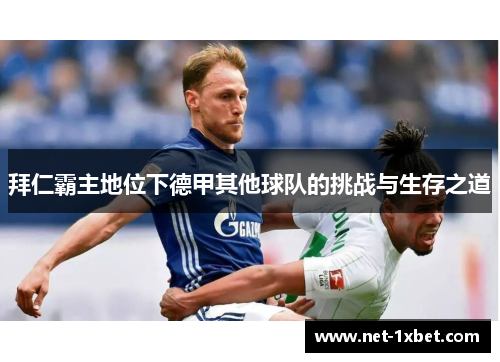 拜仁霸主地位下德甲其他球队的挑战与生存之道