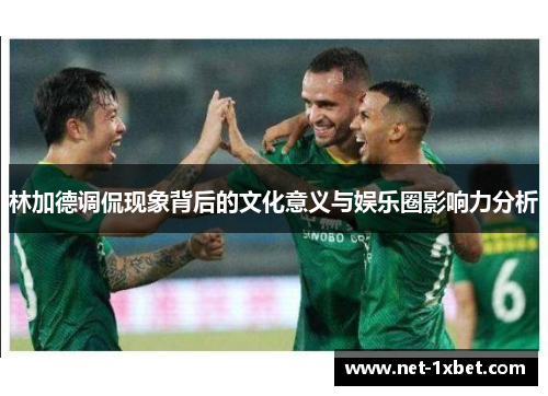 林加德调侃现象背后的文化意义与娱乐圈影响力分析 林加德调侃现象背后的文化意义与娱乐圈影响力分析